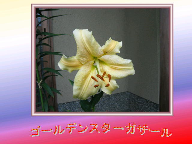 6�y�[�W