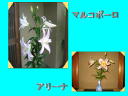 3 �y�[�W