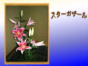 4 �y�[�W