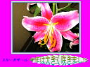 5 �y�[�W