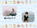 6 �y�[�W