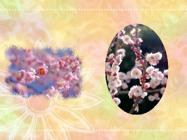 2�y�[�W