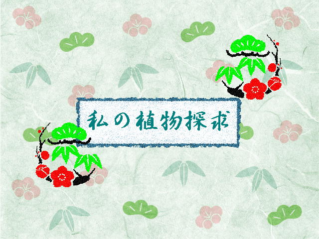 1�y�[�W