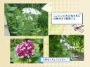 3 �y�[�W