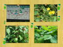 4 �y�[�W