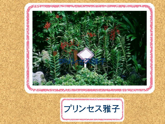 4�y�[�W