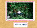 4 �y�[�W