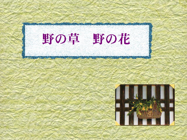 1�y�[�W