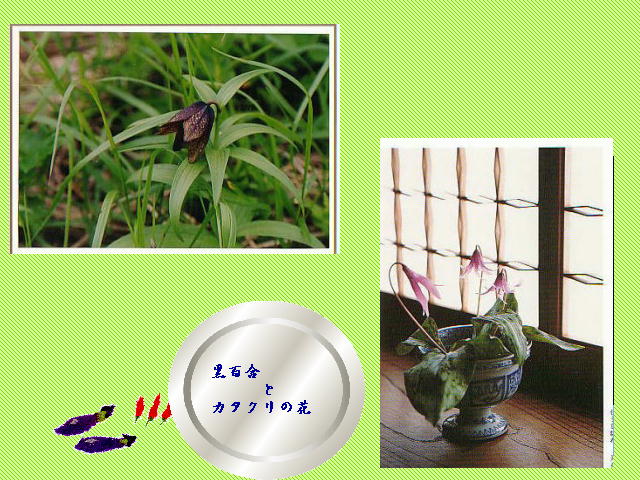 7�y�[�W
