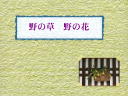 1 �y�[�W