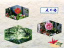 5 �y�[�W