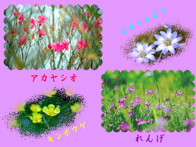 3�y�[�W