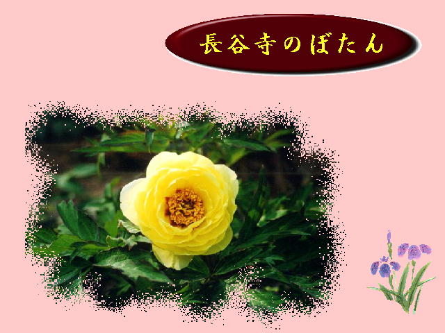 4�y�[�W
