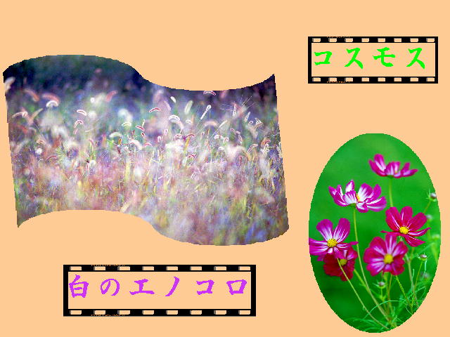 7�y�[�W
