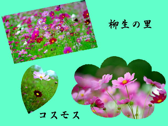 9�y�[�W