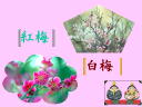 2 �y�[�W