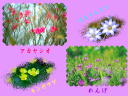 3 �y�[�W