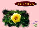 4 �y�[�W