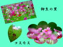9 �y�[�W