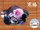11 �y�[�W