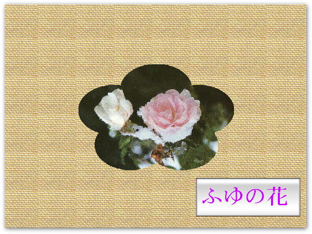 6�y�[�W