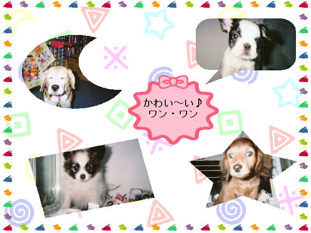5�y�[�W