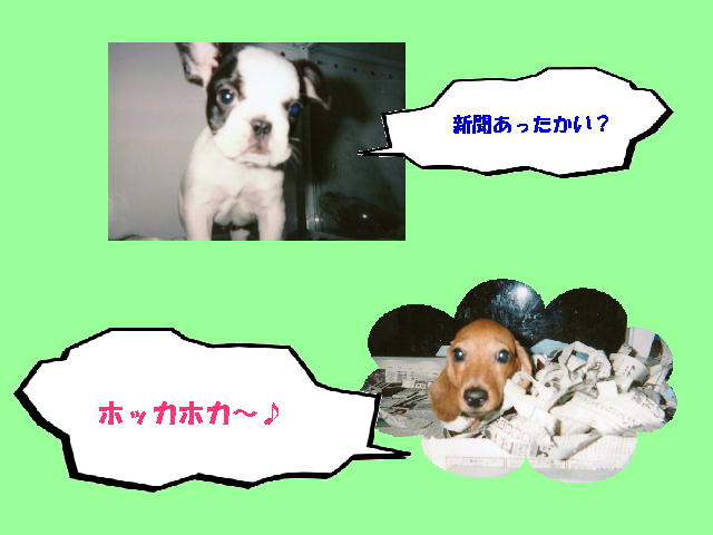 7�y�[�W