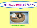4 �y�[�W