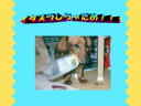 6 �y�[�W