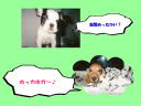 7 �y�[�W