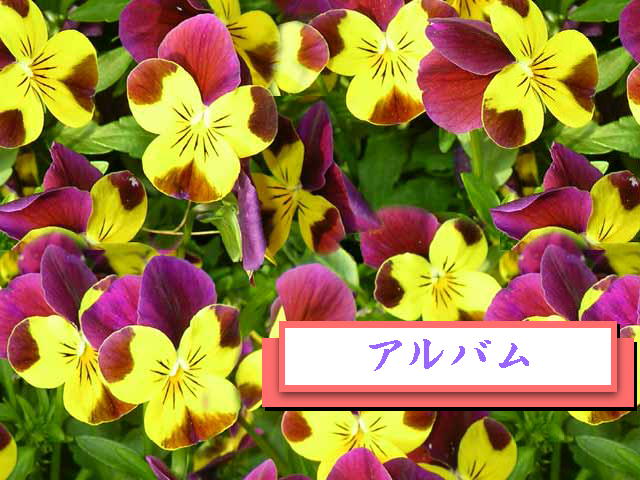 1�y�[�W