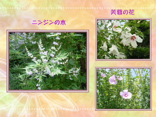 2�y�[�W