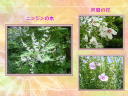 2 �y�[�W