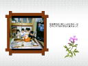 6 �y�[�W
