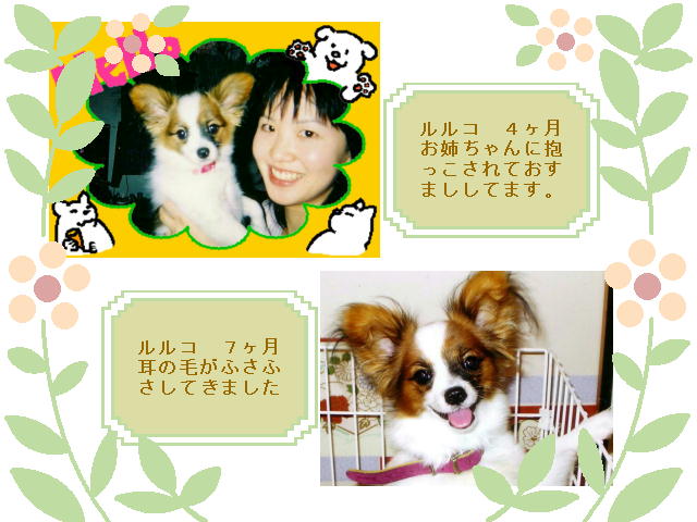 2�y�[�W