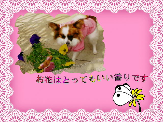 5�y�[�W