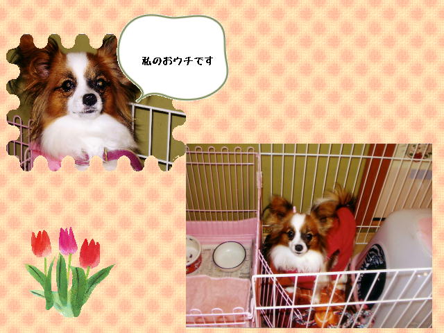 6�y�[�W