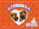 1 �y�[�W