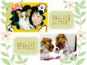 2 �y�[�W