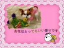 5 �y�[�W
