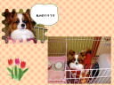 6 �y�[�W