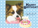 7 �y�[�W