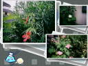 3 �y�[�W