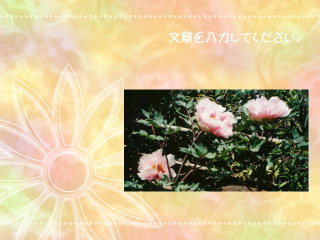 3�y�[�W