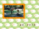 7 �y�[�W