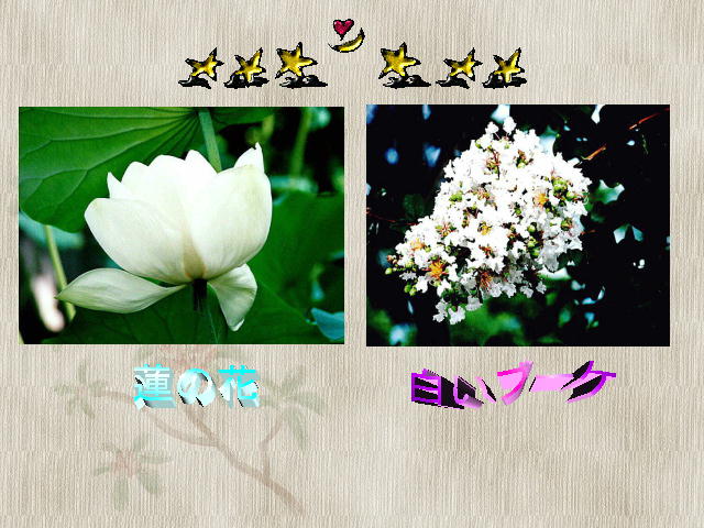 4�y�[�W