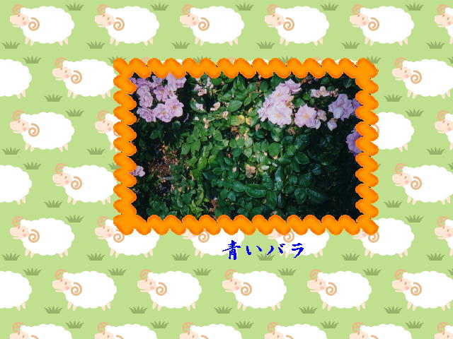 8�y�[�W