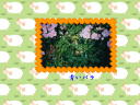 8 �y�[�W