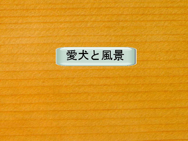 1�y�[�W