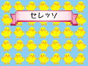 1 �y�[�W